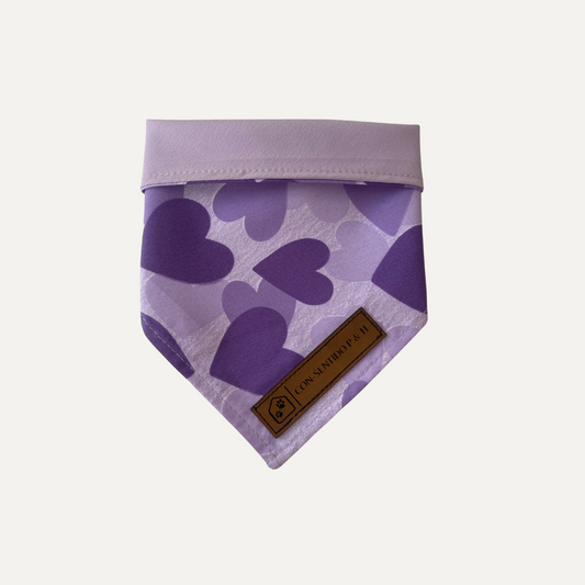 Pañoleta Encanto Morado para Mascotas – Reversible y encantadora