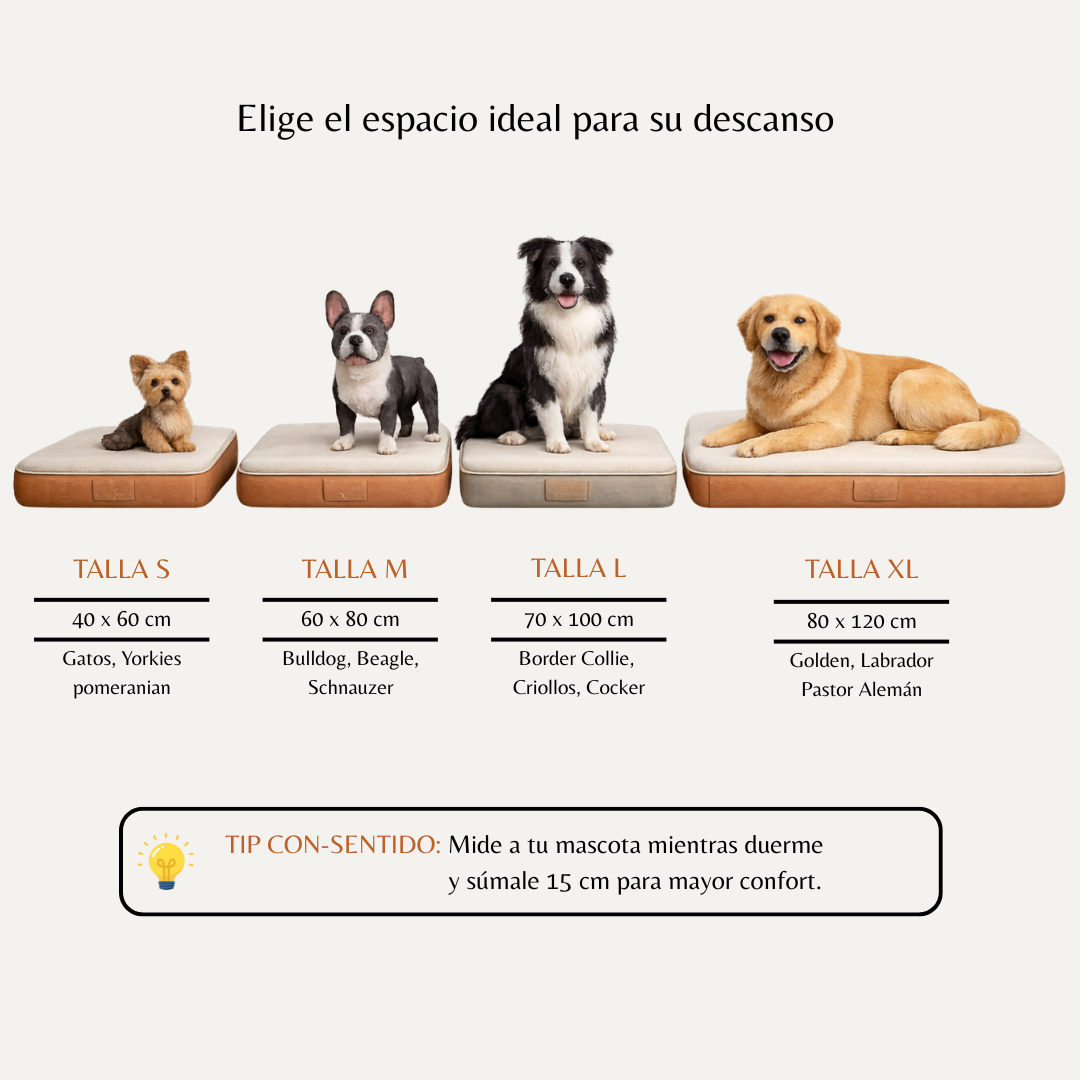 Guía de tallas visual cama ortopédica para perros: S (Yorkie), M (Bulldog), L (Border Collie) y XL (Golden Retriever 80x120 cm) | Con-Sentido